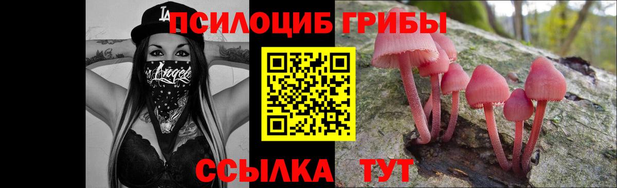 Алатырь  Галлюциногенные грибы Psilocybe  Вход с VPN  Галлюциногенные грибы ЛСД 